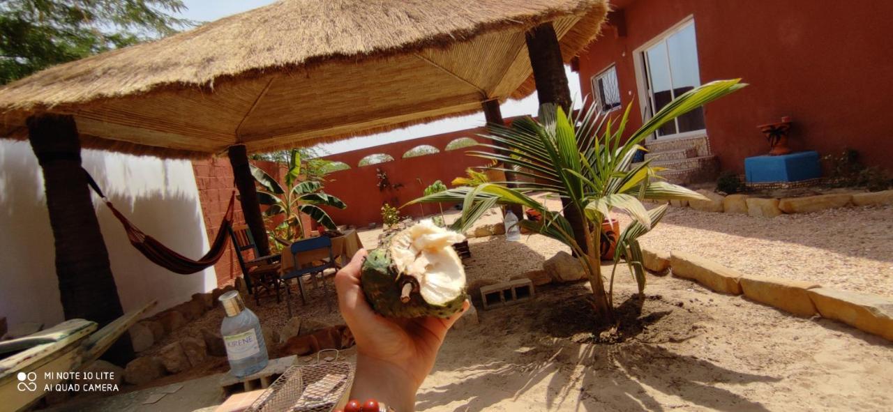 Zion - Lily'S Paradise Toubab Dialaw Exterior foto